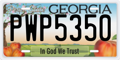GA license plate PWP5350
