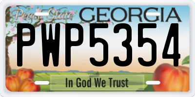 GA license plate PWP5354