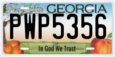 GA license plate PWP5356