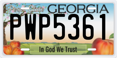 GA license plate PWP5361