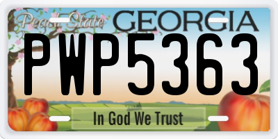 GA license plate PWP5363