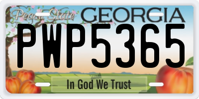 GA license plate PWP5365