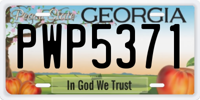 GA license plate PWP5371