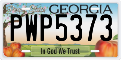 GA license plate PWP5373