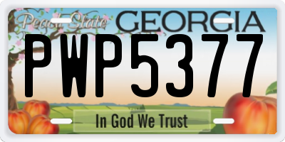 GA license plate PWP5377