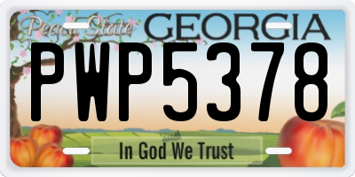 GA license plate PWP5378
