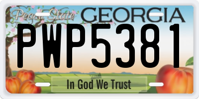 GA license plate PWP5381