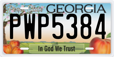GA license plate PWP5384
