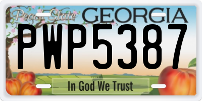 GA license plate PWP5387