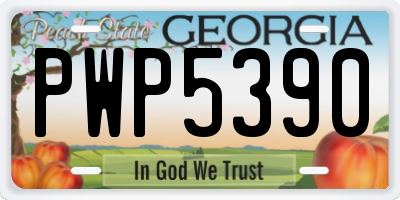 GA license plate PWP5390