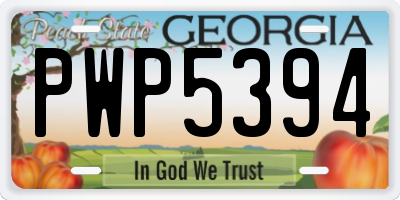GA license plate PWP5394