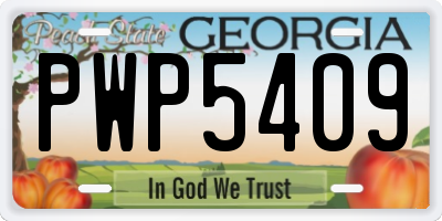 GA license plate PWP5409
