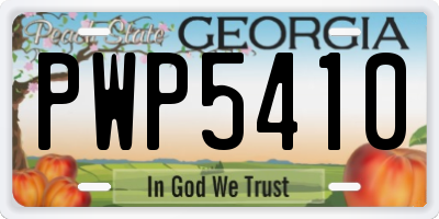 GA license plate PWP5410