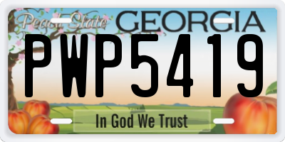 GA license plate PWP5419