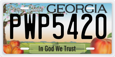GA license plate PWP5420