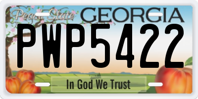 GA license plate PWP5422