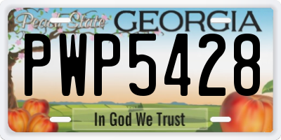 GA license plate PWP5428