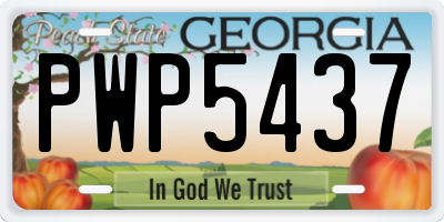 GA license plate PWP5437