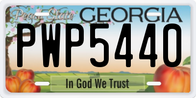 GA license plate PWP5440