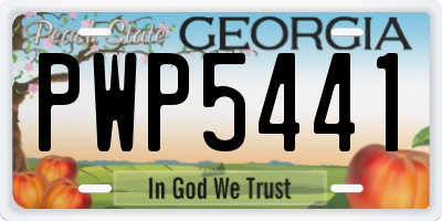 GA license plate PWP5441