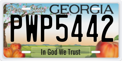 GA license plate PWP5442