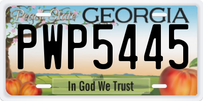 GA license plate PWP5445