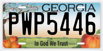 GA license plate PWP5446