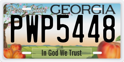 GA license plate PWP5448