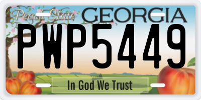 GA license plate PWP5449