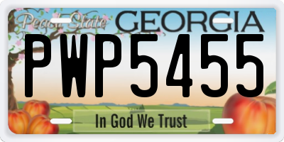 GA license plate PWP5455
