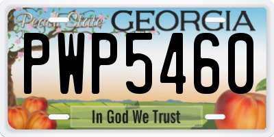 GA license plate PWP5460