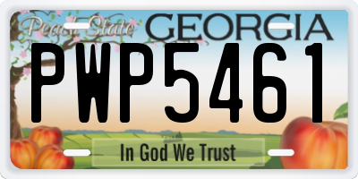 GA license plate PWP5461