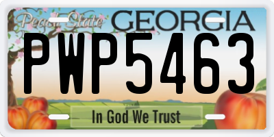 GA license plate PWP5463