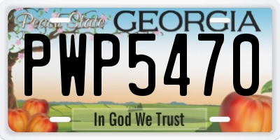 GA license plate PWP5470