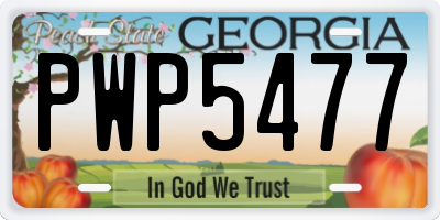 GA license plate PWP5477
