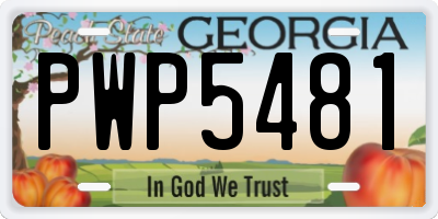 GA license plate PWP5481