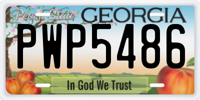GA license plate PWP5486
