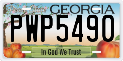 GA license plate PWP5490