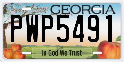 GA license plate PWP5491