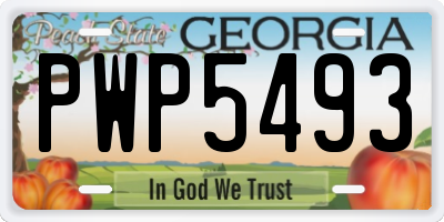 GA license plate PWP5493