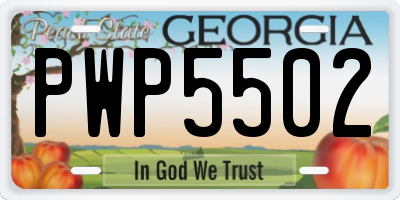 GA license plate PWP5502