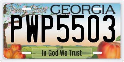 GA license plate PWP5503