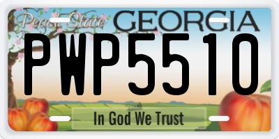 GA license plate PWP5510