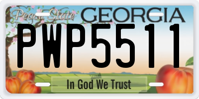 GA license plate PWP5511