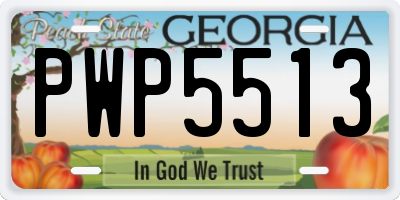 GA license plate PWP5513