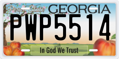 GA license plate PWP5514