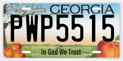GA license plate PWP5515