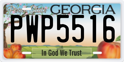 GA license plate PWP5516