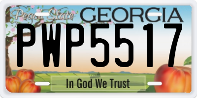 GA license plate PWP5517