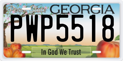 GA license plate PWP5518